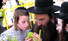 ��̫�˵�12����ţ׬Ǯ����